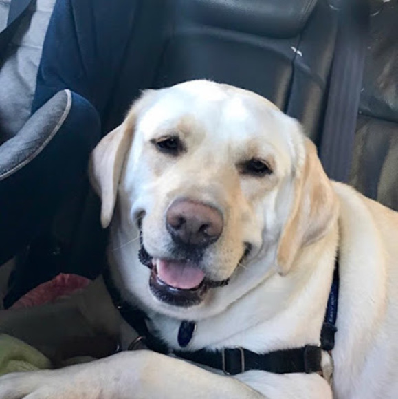 Meet your Posher, Margaret - Picture 1 of 1